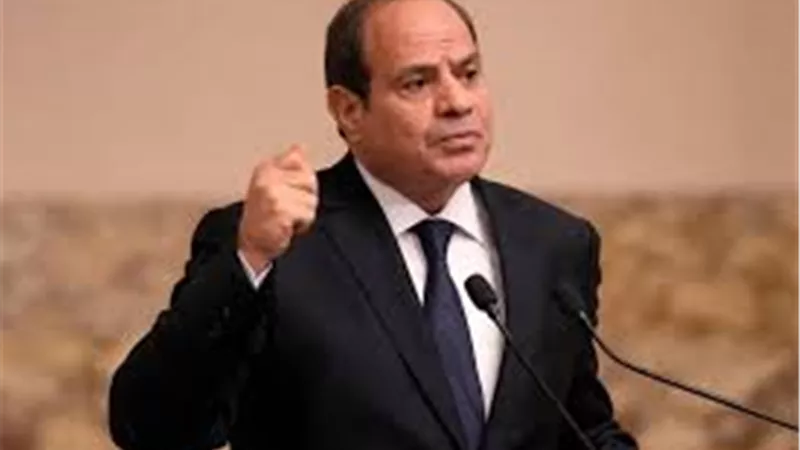 السيسي: الرائدة الريفية تسهل التواصل مع المرأة في الريف