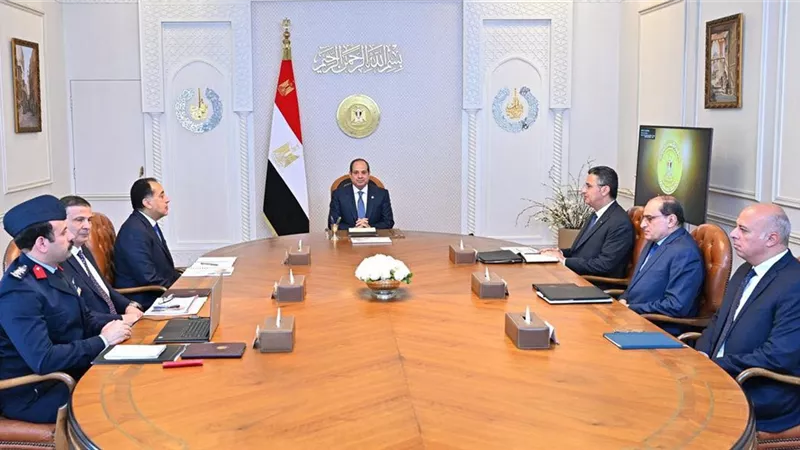 خلال اجتماع.. الرئيس يبحث مع الحكومة جهود تفعيل البورصة السلعية المصرية