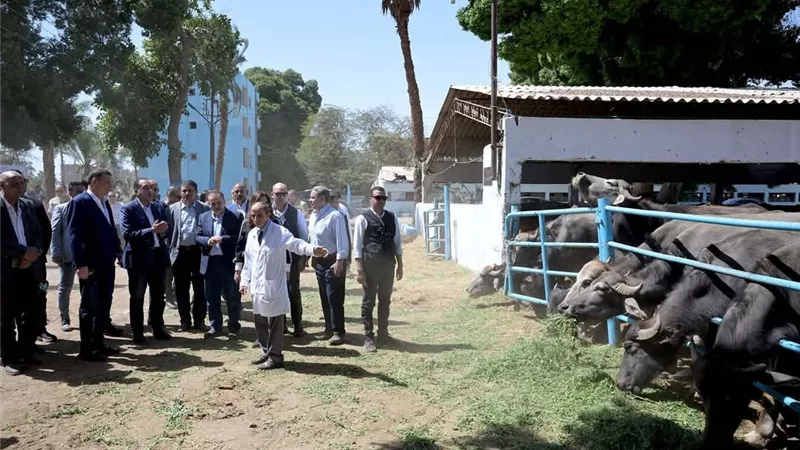 خلال جولته بأسيوط.. رئيس الوزراء يتفقد محطة الثروة الحيوانية بقرية الحمام بمركز أبنوب