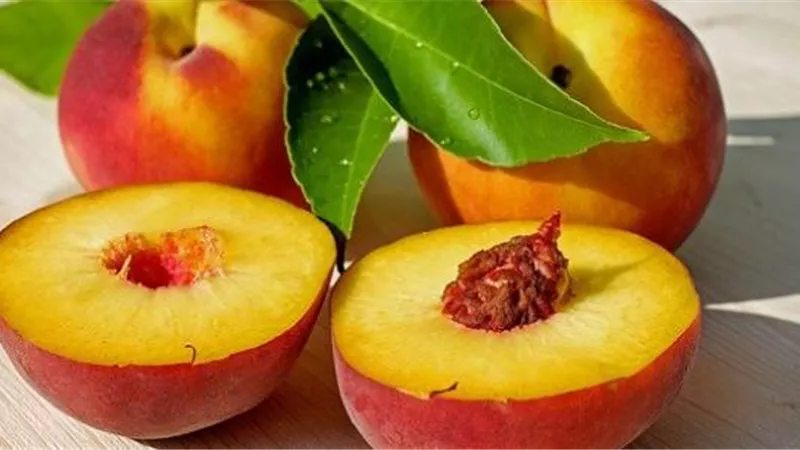 تفسير رؤية الخوخ في المنام للعزباء والمتزوجة والحامل 