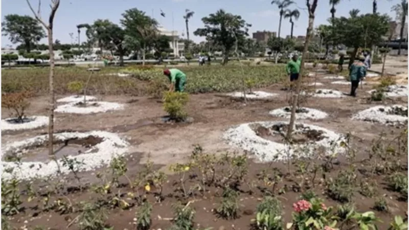 ميادين العاصمة تتزين بنبض الحياة الخضراء.. وحملات تشجير واسعة برعاية شيخ الأزهر