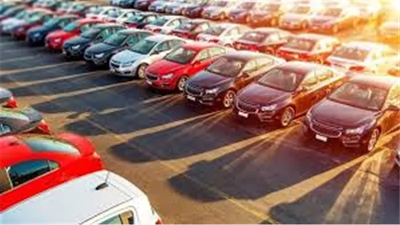 حقيقة زيادة رسوم تراخيص السيارات في مصر