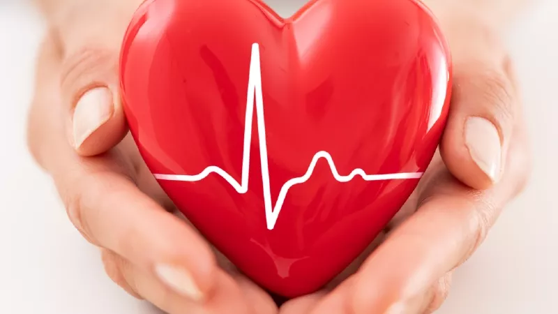 متى يجب عليك الذهاب للطبيب للاطمئنان على صحة القلب؟.. وزارة الصحة تجيب 