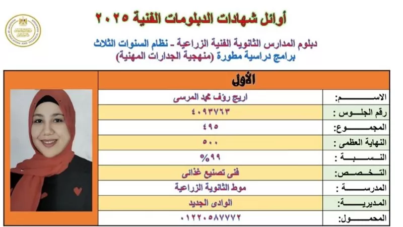 «هيرنيوز» ينشر بالصور والأسماء أوائل الدبلومات الفنية 2025