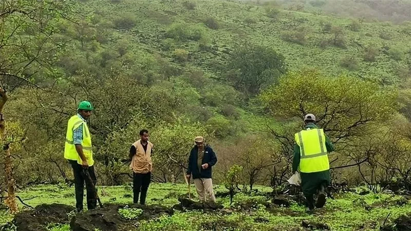 من أجل بيئة خضراء مستدامة.. عُمان تنفذ حملة لغرس 4 ملايين بذرة من الأشجار