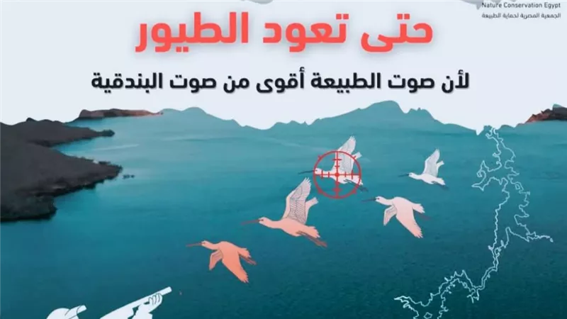 حتى تعود الطيور.. لا للصيد الجائر.. مبادرة بيئية تنطلق غدا من نقابة الصحفيين