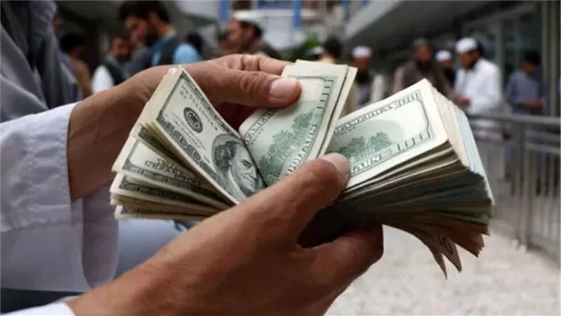 سعر الدولار في بنوك مصر الإثنين 11-8-2025