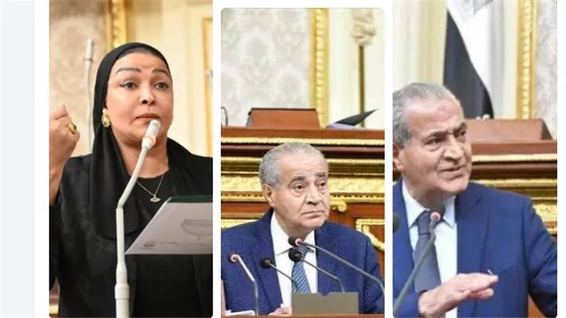 النائبة د. ألفت المزلاوي: خلافي مع الدكتور علي مصيلحي كان صريحًا.. واليوم أودّعه باحترام الموت