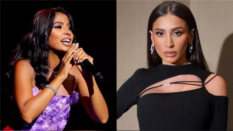 دينا الشربيني تشعل حفل روبي بـ 