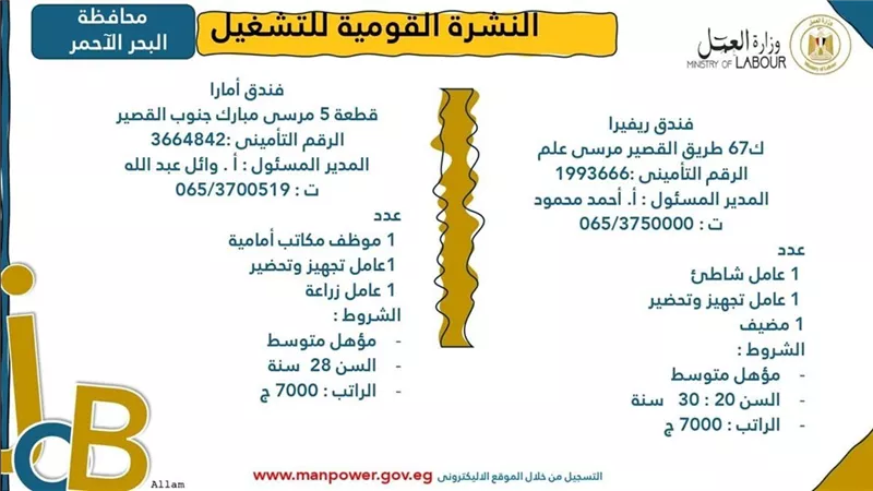 3701 فرصة عمل جديدة في 44 شركة خاصة تنتظر شباب 11 محافظة