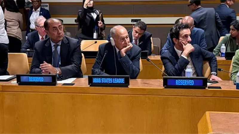 أبو الغيط يدعو إلى حل الدولتين ووقف إطلاق النار والانسحاب الإسرائيلي من غزة