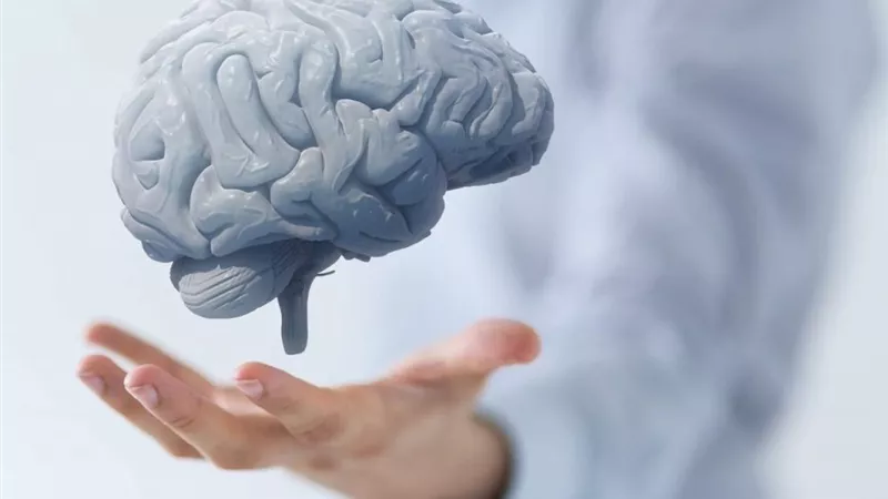 8 أعراض لضمور المادة البيضاء في الدماغ