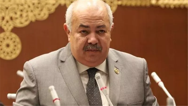 النائب عمرو أبو السعود: المتحف المصري الكبير بوابة الحضارة المصرية نحو المستقبل