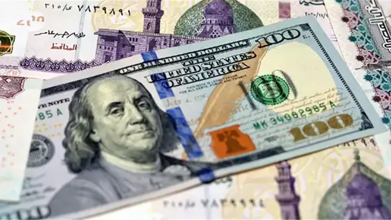 سعر الدولار في البنوك المصرية اليوم الإثنين 10-11-2025
