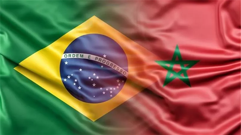 موعد مباراة المغرب والبرازيل في كأس العالم للناشئين