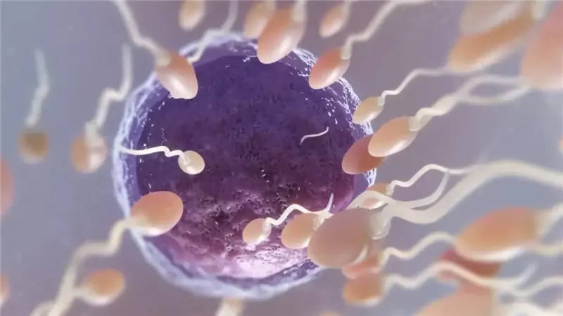  كارثة.. متبرع بحيونات منوية ينقل طفرة قاتلة لأكثر من 197 طفلاً