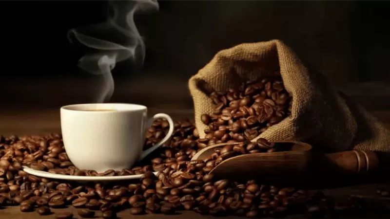 أكياس القهوة.. حل سحري للتخلص من الحشرات الزاحفة والطائرة 