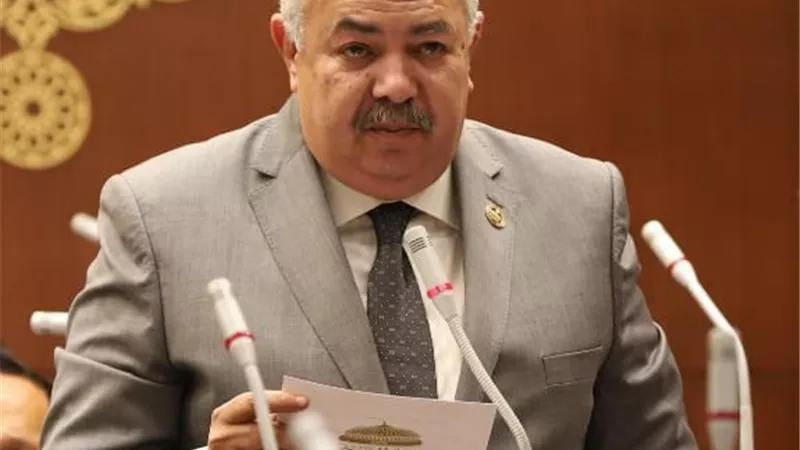 النائب عمرو أبو السعود: المشروعات القومية تعزز الإكتفاء الذاتي من القمح والأرز وتدعم الأمن الغذائي