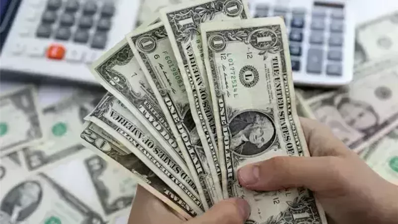 سعر الدولار مقابل الجنيه المصرى اليوم الأحد 1 فبراير 2026