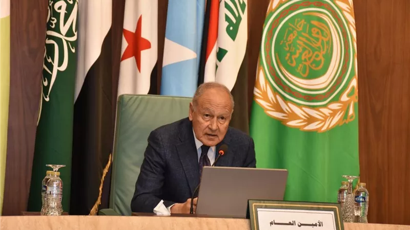 أبو الغيط: الشباب العربي ركيزة المستقبل وسدّ فجوة الأجيال ضرورة من ضرورات الأمن القومي