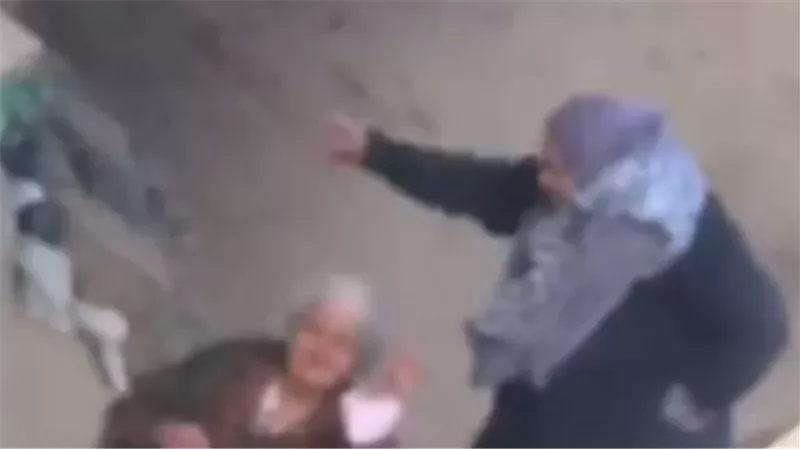 ضبط سيدة لتعديها بالضرب على والدتها المسنة بقرية في الشرقية