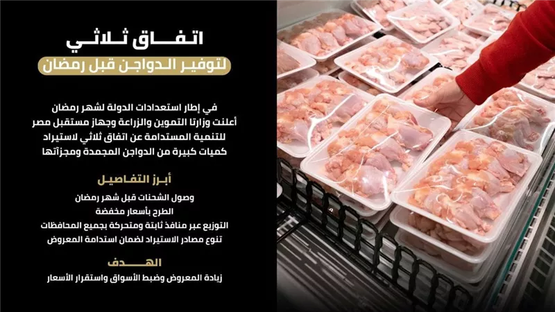 طرح دواجن مستوردة بأسعار مخفضة عبر المنافذ قبل شهر رمضان