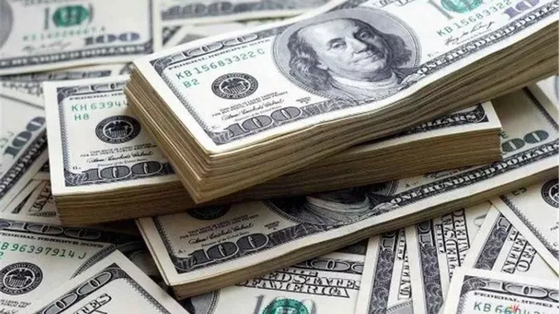 سعر الدولار مقابل الجنيه المصرى اليوم الأربعاء 25 فبراير 2026