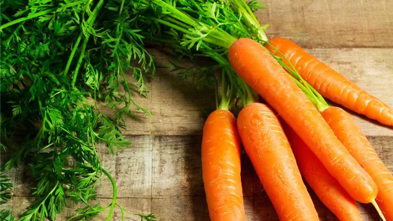 بشارة خير ورزق واسع ..   تفسير رؤية الجزر في المنام  