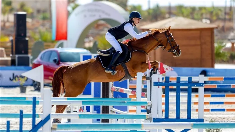 بمشاركة 150 فارسًا وفارسة.. وزير الرياضة يشيد ببطولة كأس مصر للفروسية