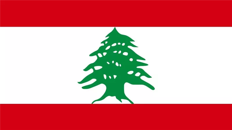 رسائل تضامن عربية مع لبنان.. نجوم الفن يعبّرون عن دعمهم في وجه الألم