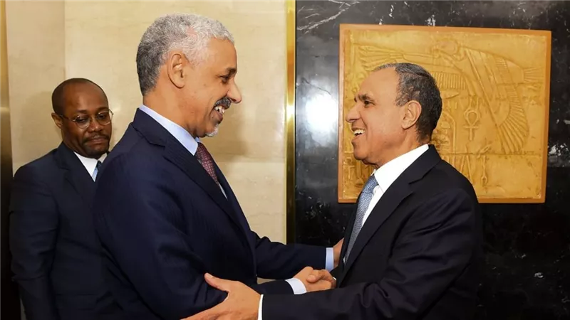 وزير الخارجية يستقبل رئيس بنك التنمية الأفريقي ويؤكد دعم أولويات التنمية في مصر وإفريقيا