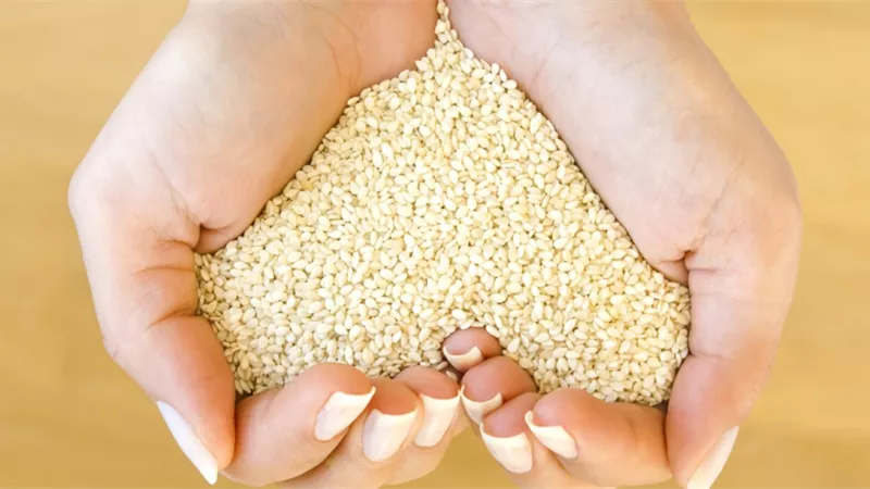 رزق وخير وفير.. تفسير رؤية السمسم في المنام لابن سيرين
