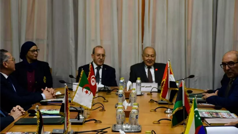 أبو الغيط يترأس إجتماع مجلس إدارة الصندوق العربي للمعونة الفنية للدول الإفريقية