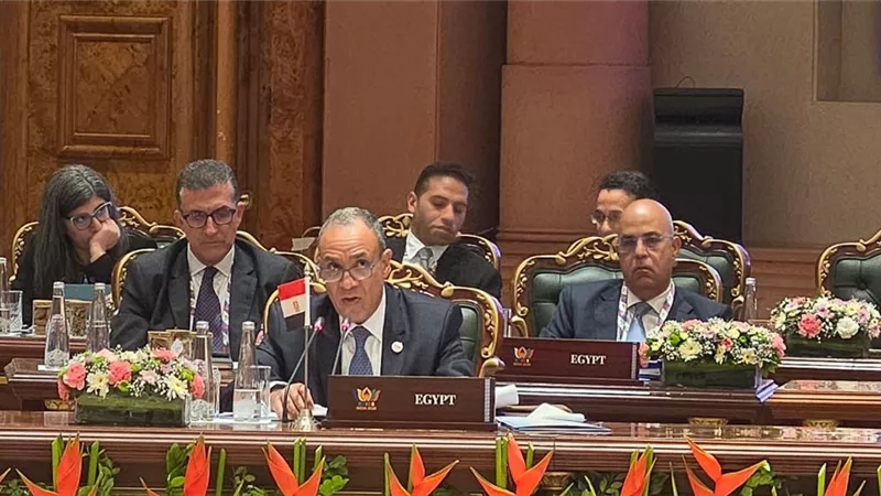 مصر تدعو من نيودلهي لتعزيز التعاون داخل البريكس وإصلاح النظام الدولي