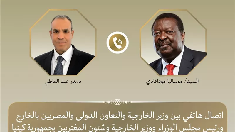 وزير الخارجية المصري ونظيره الكيني يبحثان تعزيز العلاقات والتعاون ودعم استقرار القارة الأفريقية
