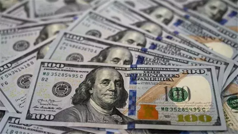 سعر الدولار مقابل الجنيه المصري اليوم الجمعة 19 يوينو 2026