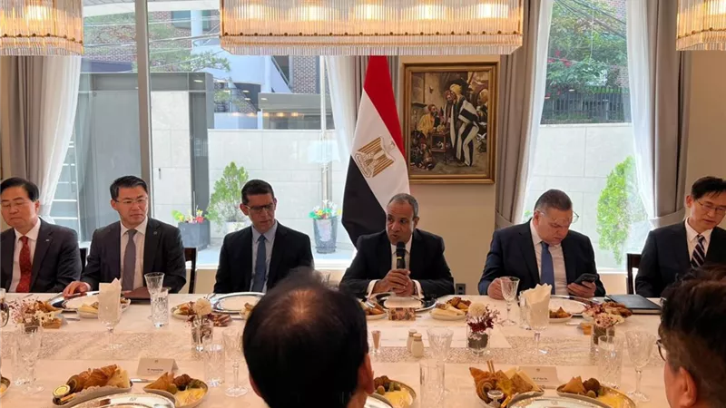 وزير الخارجية يبحث في سول تعزيز الاستثمارات الكورية وفرص التعاون الاقتصادي في مصر  