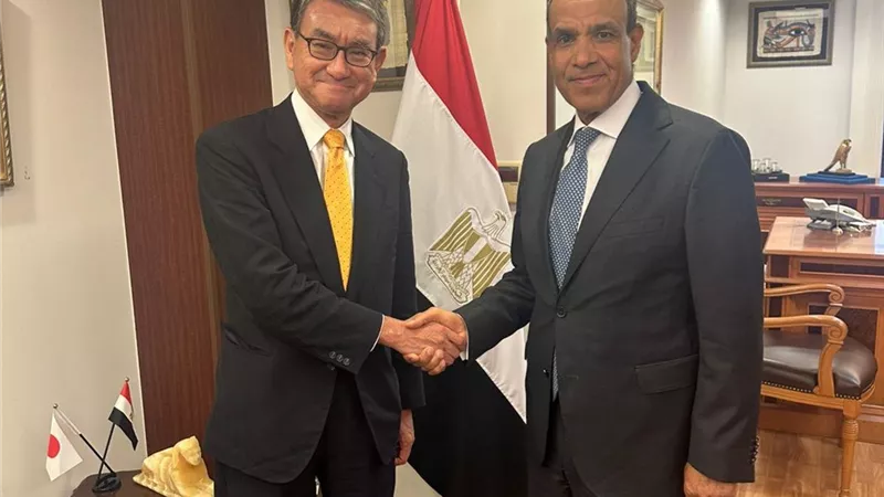 وزير الخارجية يبحث مع رئيس لجنة العلاقات الخارجية بالحزب الحاكم الياباني تعزيز التعاون البرلمانى