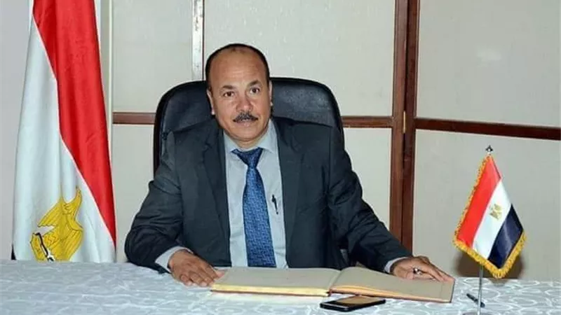 عضو اتحاد المصريين بالخارج: 34.9 مليار دولار تحويلات تؤكد قوة ارتباط أبناء الوطن بمصر