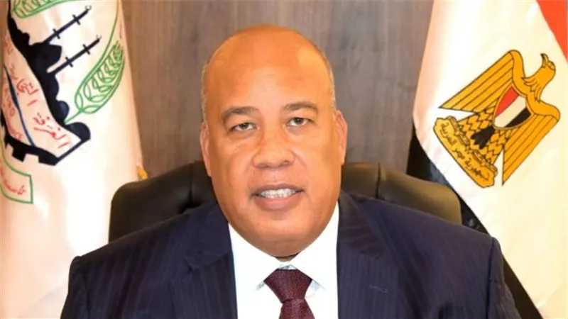 أيمن العشري: تدشين البوابة الوطنية للتجارة الخارجية نقلة نوعية لتعزيز تنافسية الاقتصاد المصري