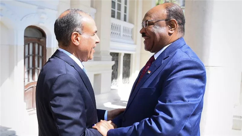   وزير الخارجية يؤكد دعم مصر لوحدة السودان خلال لقائه نظيره السوداني  