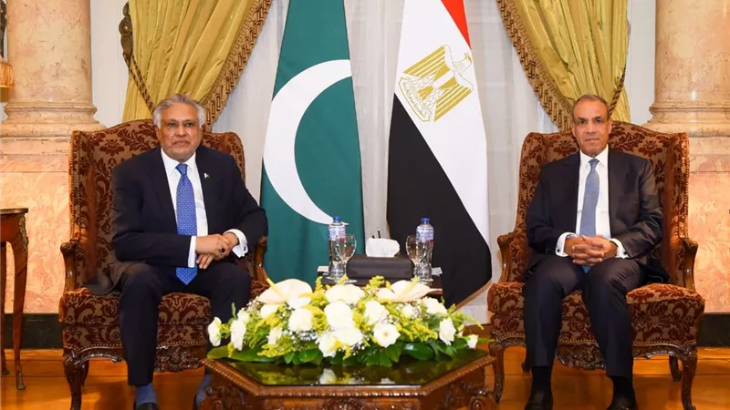 وزير الخارجية المصري ونائب رئيس الوزراء الباكستاني يبحثان تعزيز العلاقات الثنائية وتطورات المنطقة