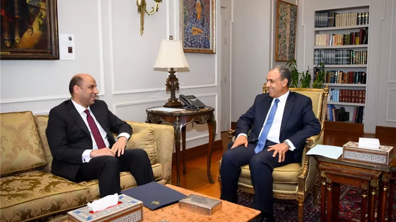  وزيرا الخارجية والعمل يبحثان تعزيز التعاون لدعم العمالة المصرية بالخارج  