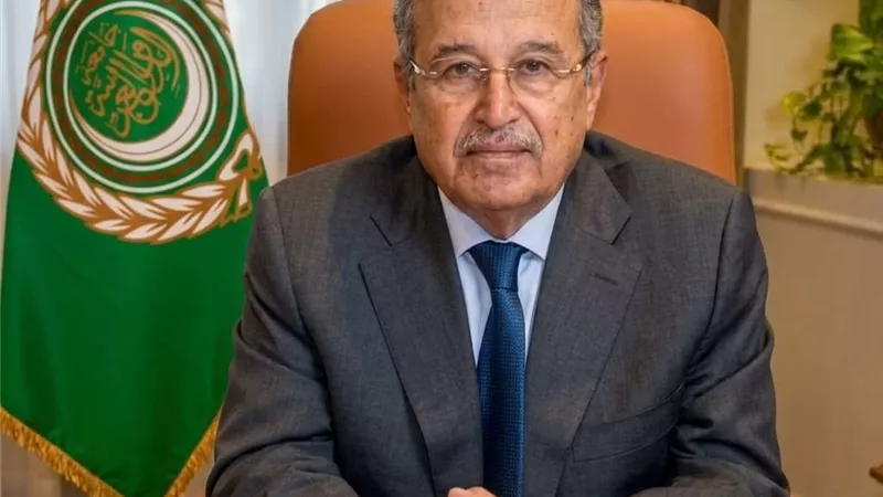 الأمين العام لجامعة الدول العربية يستعرض أمام المندوبين الدائمين رؤيته لتطوير العمل العربي المشترك