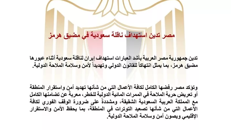 مصر تدين استهداف ناقلة سعودية في مضيق هرمز وتؤكد تضامنها مع المملكة 