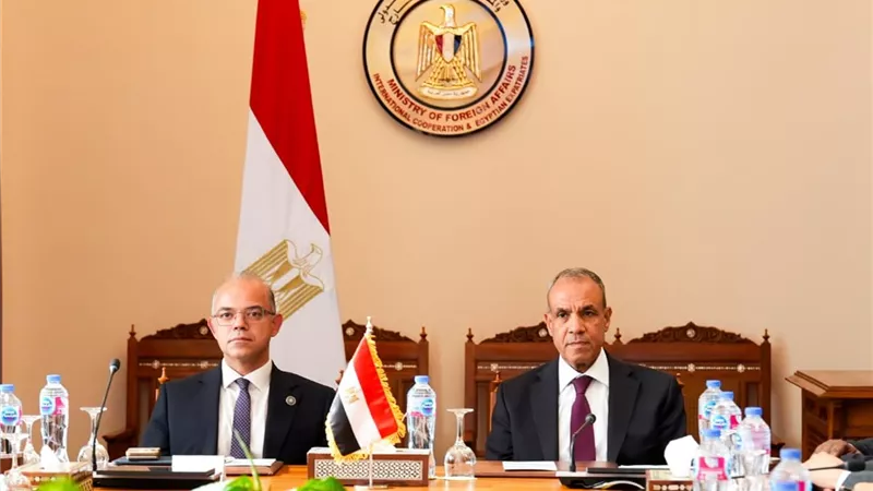 وزيرا الخارجية والاستثمار يبحثان تعزيز الاستثمارات المصرية في إفريقيا وتنسيق السياسات الاقتصادية