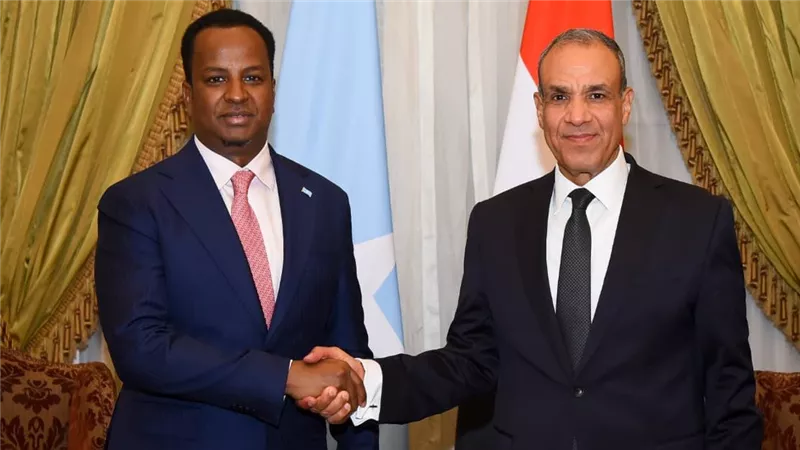  وزير الخارجية يبحث مع نظيره الصومالي تعزيز الشراكة الاستراتيجية وتطورات القرن الأفريقى  
