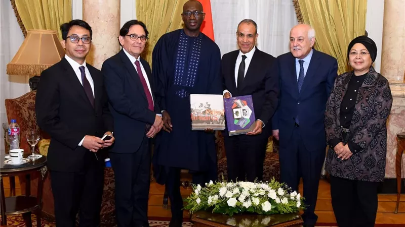 وزير الخارجية يؤكد أمام لجنة أممية مواصلة دعم مصر للقضية الفلسطينية ورفض تصفية حقوق الشعب الفلسطيني