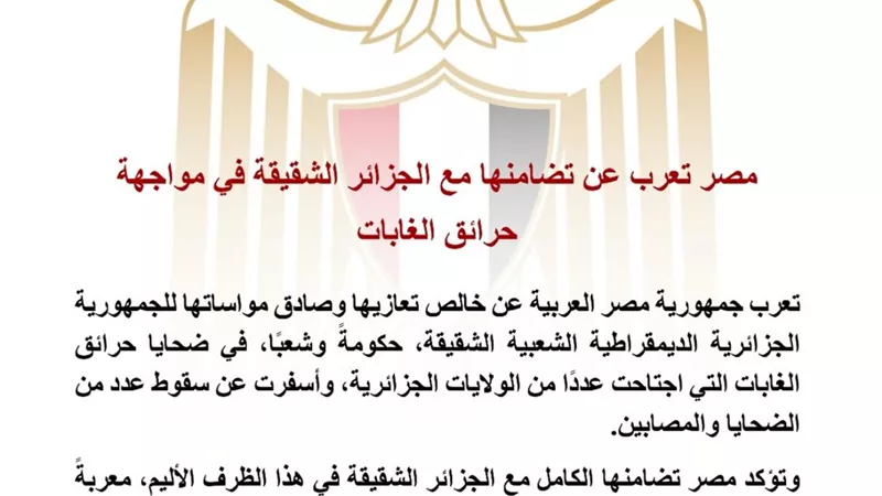 مصر تعلن تضامنها مع الجزائر وتعزي في ضحايا حرائق الغابات