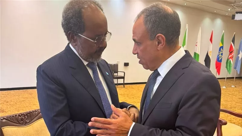 وزير الخارجية يؤكد للرئيس الصومالي دعم مصر الكامل لسيادة ووحدة الصومال